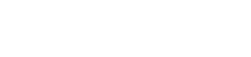 知識が活きる「盛り」